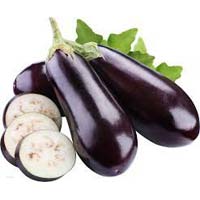 Fresh Eggplant