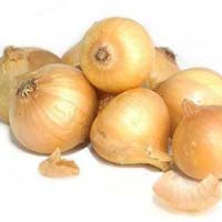 fresh yellow onion