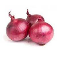 Fresh Nasik Onion