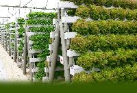 hydroponic construction service