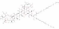 isodecyl oleate Health Care Product