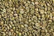Coffee Beans Products