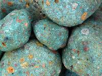 Imported Pebbles Gardners Green Stone