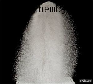 Halobetasol Propionate