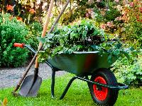 Garden Maintenance Services