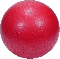 55 cm Prokyde Gym Balls