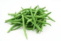 Fresh Small Green Beans