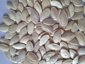 Shine Skin Pumpkin Seeds, Moisture : 9%