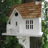 Bird House