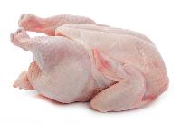 chicken frozen meat