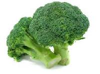 fresh broccoli