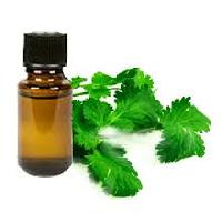 coriander oils