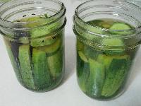 fresh pickled gherkins