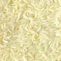 CO-51 Rice