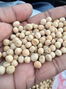 Yellow Peas