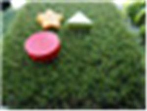 Landscape Grass WF-VDJ11000