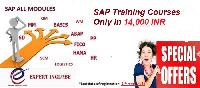 sap training