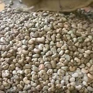 cashew nuts For Cooking, Ayurvedic Formulation