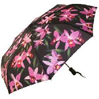 Ladies Umbrella (Orchid)