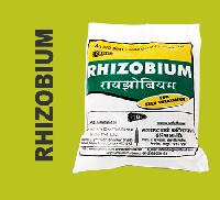 Rhizobium Biofertilizers