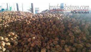 Coconut Semi-husked, Packaging Type : Brown