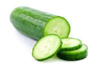 fresh cucumber