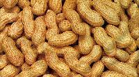 Shelled Groundnuts