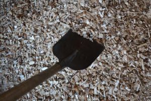 Wood Chips