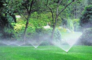 Commercial Irrigation Systems
