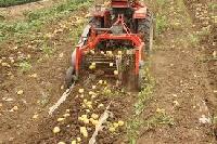 Potato Harvester Machine