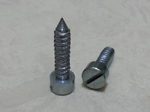 Slotted Point Screw