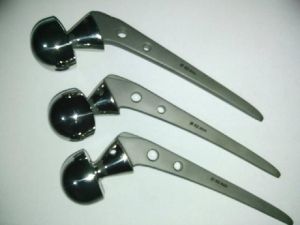 Hip Prosthesis