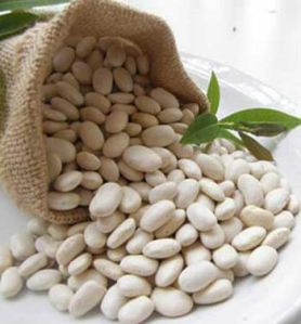 white kidney beans,  Cultivation Type : Organic