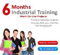 6 month industrial training