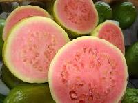 Guava Fruit Flavor