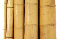 Bamboo Poles