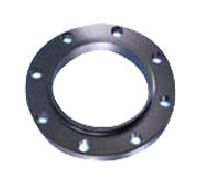 Slip On Flanges