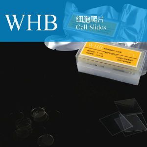 Microscope Cover Glass