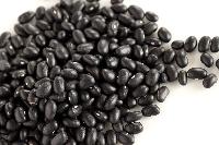 Black Beans
