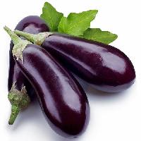 Organic Fresh Brinjal, Packaging Type : PP Bag