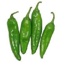 fresh green chilli