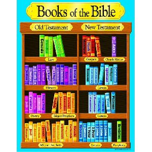 CHILDREN BIBLE STORY BOOKS