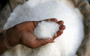 ICUMSA 45 White Refined Sugar