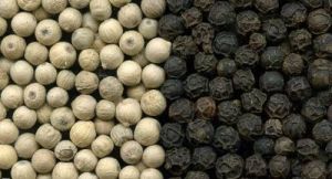 Pepper Seeds, Shape : 24 Month