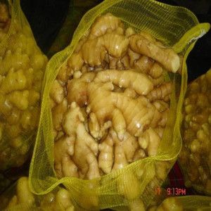 Fresh Ginger 20kg Mesh Bags At Very Good Prices