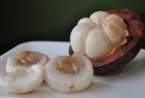 Fresh Mangosteen Fruits / FRESH MANGOSTEEN