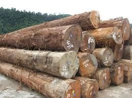 Hardwood Logs