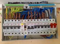 electrical fuse carrier