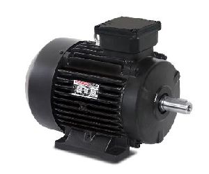 0.09Kw - 90Kw Havells Low Tension Motor