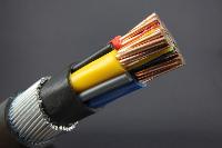 Armored Cables